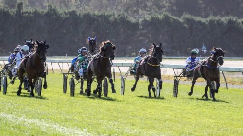 BJ-Lindenny-blog__ResizedImageWzYwMCwzND