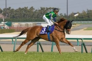 Blizzard game in Takamatsunomiya Kinen defeat