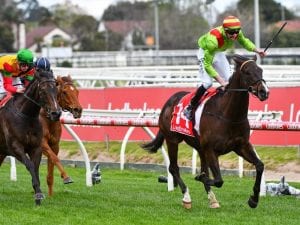 Victorian faces Mother of a task in G1