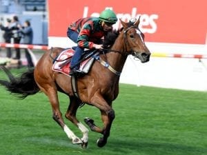 Egg Tart on track for Coolmore Classic