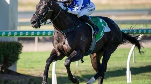 Doomben_4-3_18677221_2008228_20200502150