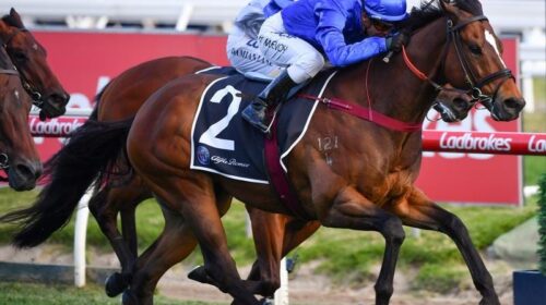 Everest_Trekking_4-3_17335495_1973148_20