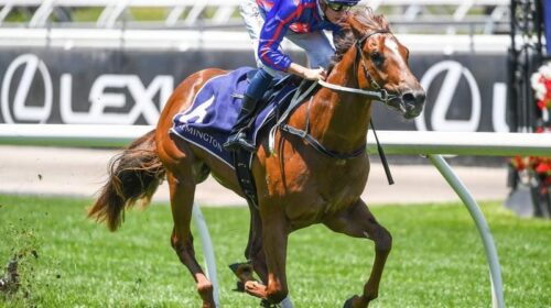 FLEMINGTON_PROFITEER_4-3_20042233_204179