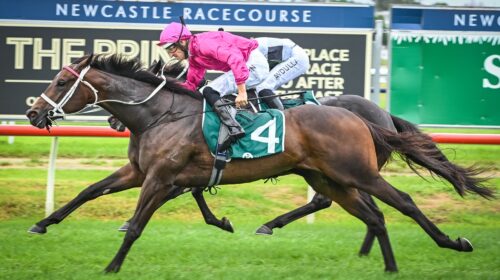 Fangirl-Vinery-Stud-Stakes-scaled-1-500x