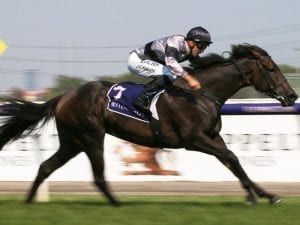 Wetakemanhattan too strong at Flemington