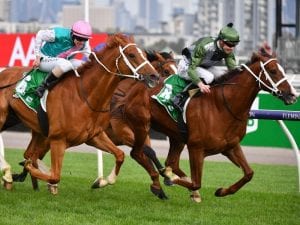 McNeil eyeing off Flemington G1 features