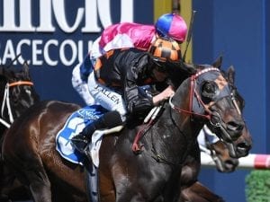 Eastender draws wide in Adelaide Cup