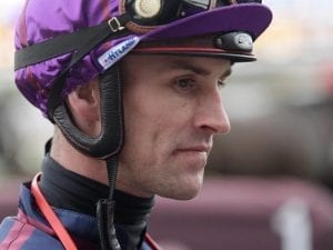 Jockey Tye Angland confirmed quadriplegic