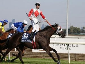 Mystic Journey second in Hobart trial