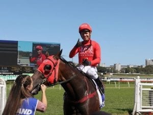 Redzel wins trial ahead of TJ Smith