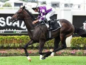 Ef Troop headlines Queensland trials