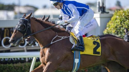 Gallops_Vanna_4-3_18886102_2014111_20200