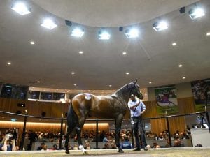 Easter Yearling Sale