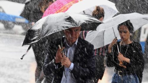 Gallops_Warwick_Farm_4-3_18100644_199389