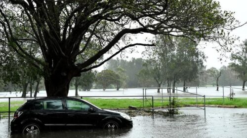 Gallops_Weather_NSW_4-3_18110451_1994172