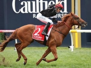 Begg confirms Slipper tilt for Written By