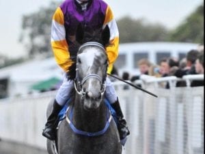 Popular grey Steel Zip is retired