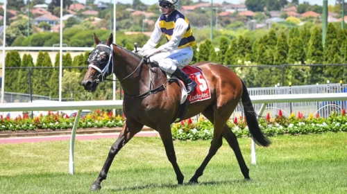 Hometown-hero-Jamie-Kah-produced-a-brill