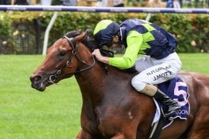 2021 Manihi Classic betting tips & top odds | Morphettville