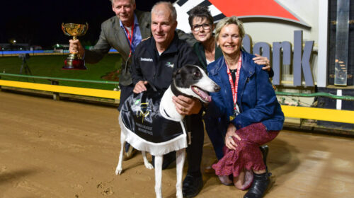 Koblenz-Geall-family-1024x683-1-500x280.