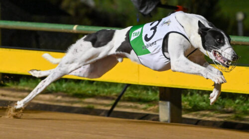 Koblenz-Melbourne-Cup-1024x683-1-500x280