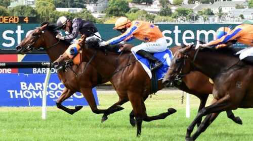 Lickety-Split-defeats-Dynastic-Kenton-50