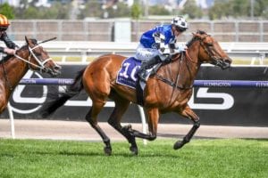 2021 Matron Stakes racing tips & betting preview | Flemington R7