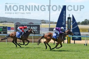 Mornington Cup tips, betting strategy & odds | March 20, 2021
