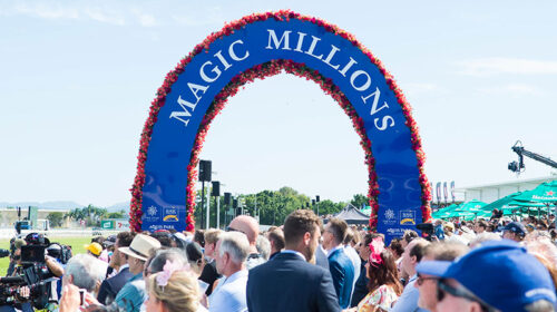 Magic-Millions-500x280.jpeg