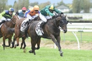 Magnum gives connections reason to celebrate