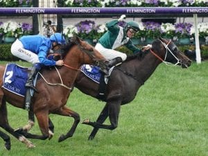 Bivouac ready for Newmarket Handicap tilt