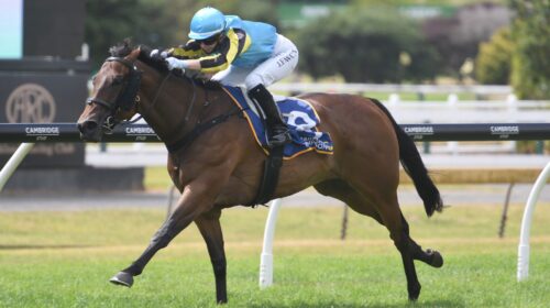 ONE-MORE-TIME-ATR-13-3-2022-RACE-IMAGES-