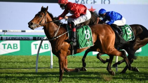 Promise-Of-Success-1610212366-734x460-1-