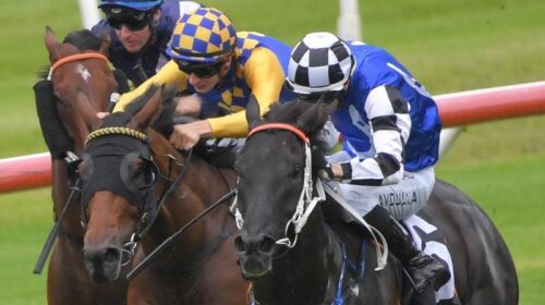 Randwick_Reward_4-3_18150205_1995222_202