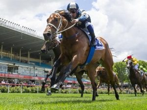 Weather to decide Tagaloa's Todman start