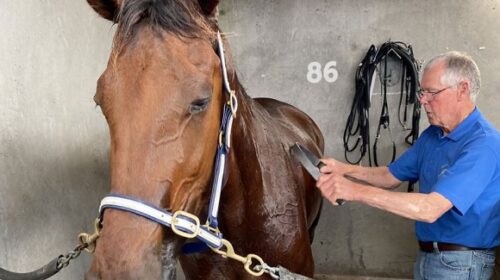 Ray-Darby-and-horse-blog-image-2022__Res