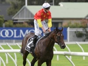 Godolphin poised for bumper Golden Slipper