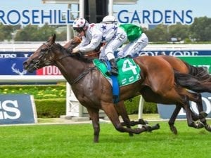 Sunlight primed for Golden Slipper lead-up