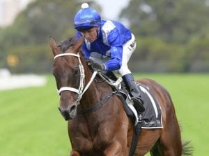 Winx in top order ahead of George Ryder