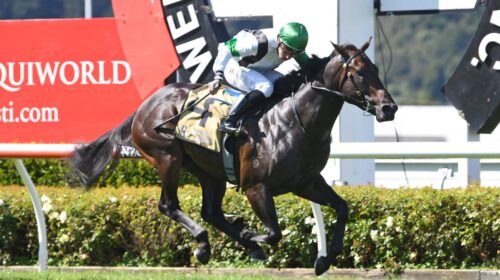 SLIPPER-ISLAND-WRC-19-3-2022-RACE-IMAGES