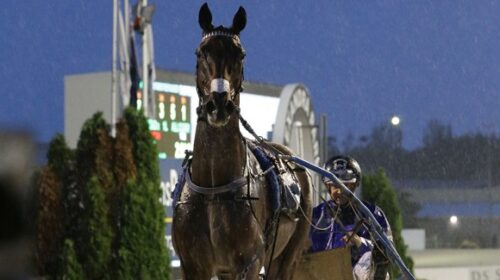 Self-assured-blog-image-founders-alex-pa