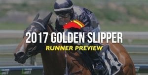 Slipper preview