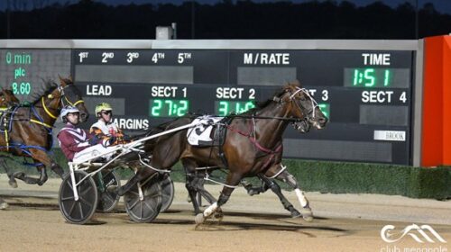 Stylish-memphis-blog-imaage-Jack-Trainor