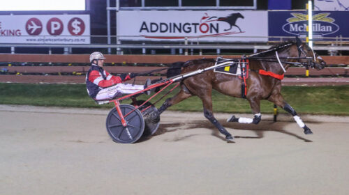 Sundees-Son-Blog__ResizedImageWzYwMCw0MD