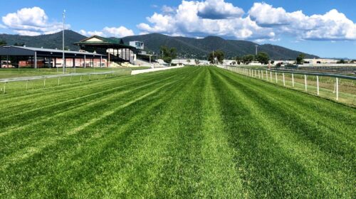 Tamworth-Jockey-Club-scaled-1-500x280.jp