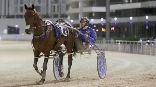 True-Fantasy-returns-Alex-Park-march-25-