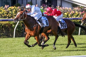 2021 AJC Challenge Stakes tips & top odds | Randwick Race 5