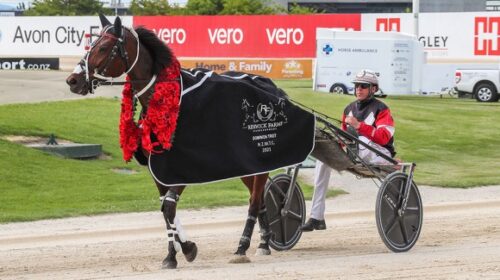 sundees-son-dominion-2021-blog-v6__Resiz