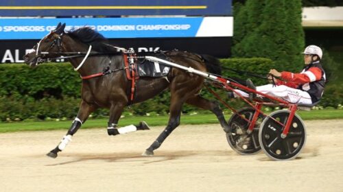 sundees-son-rowe-cup-blog-image-v6__Resi