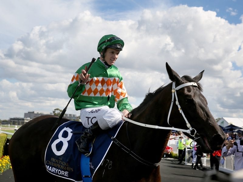 Maryore ridden by Tim Clark